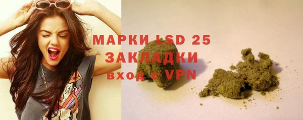 индика Нефтекумск