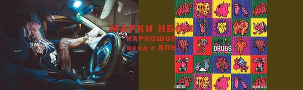 индика Нефтекумск