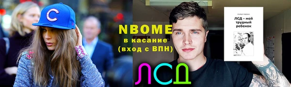 индика Нефтекумск