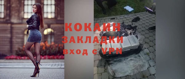 прущие грибы Нея