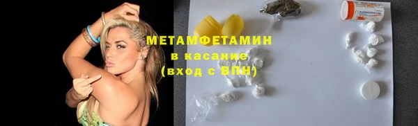 прущие грибы Нея