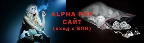 индика Нефтекумск
