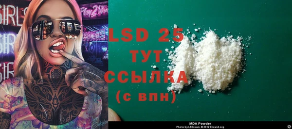 прущие грибы Нея