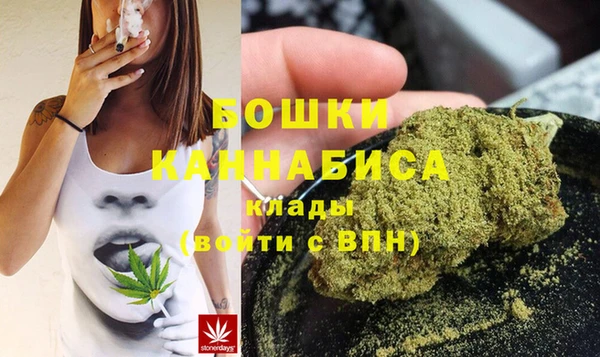 прущие грибы Нея