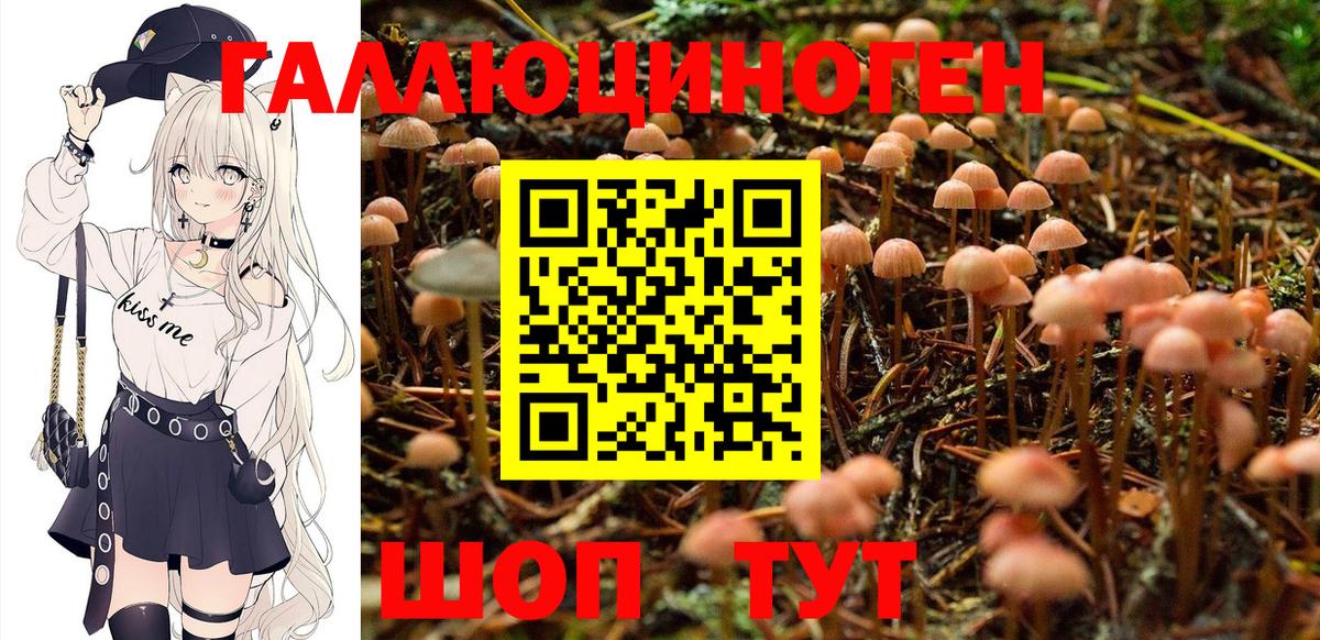 Галлюциногенные грибы GOLDEN TEACHER Дербент